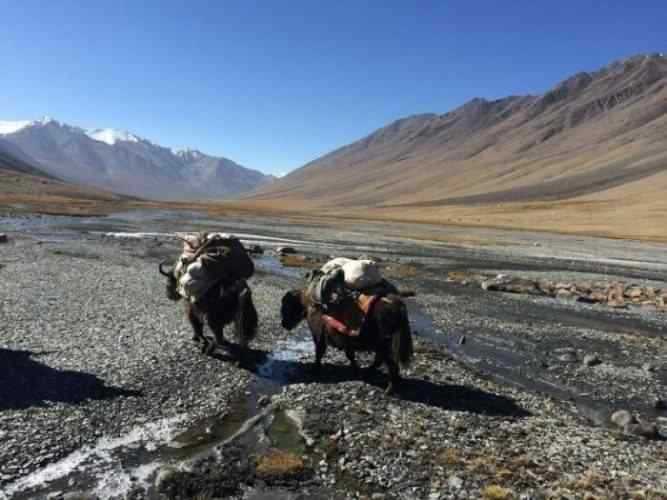 15 Days Trek to Chilinji Pass in Chapursan Valley Pakistan,