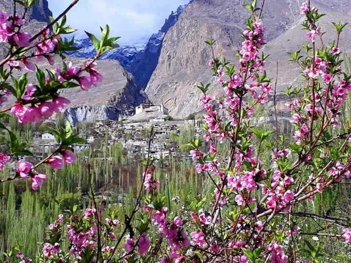 Spring festivals in Hunza Valley Pakistan